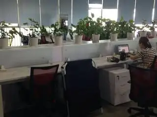RR (Shenzhen) Tech Co., Ltd. 2