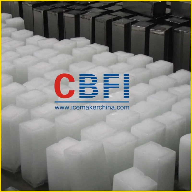 Large Ice Block Factory for Sell Ice with crane system-CBFI