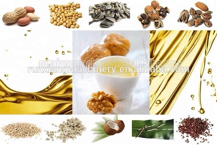 Castor Walnut Hazelnut Macadamia Nut Seed Sacha Inchi Cocoa Bean Jatropha Cold Small Mini Press Oil Extractor Machine