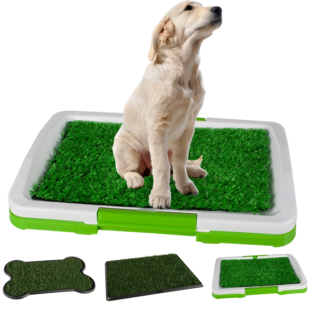 grass toilet for dogs