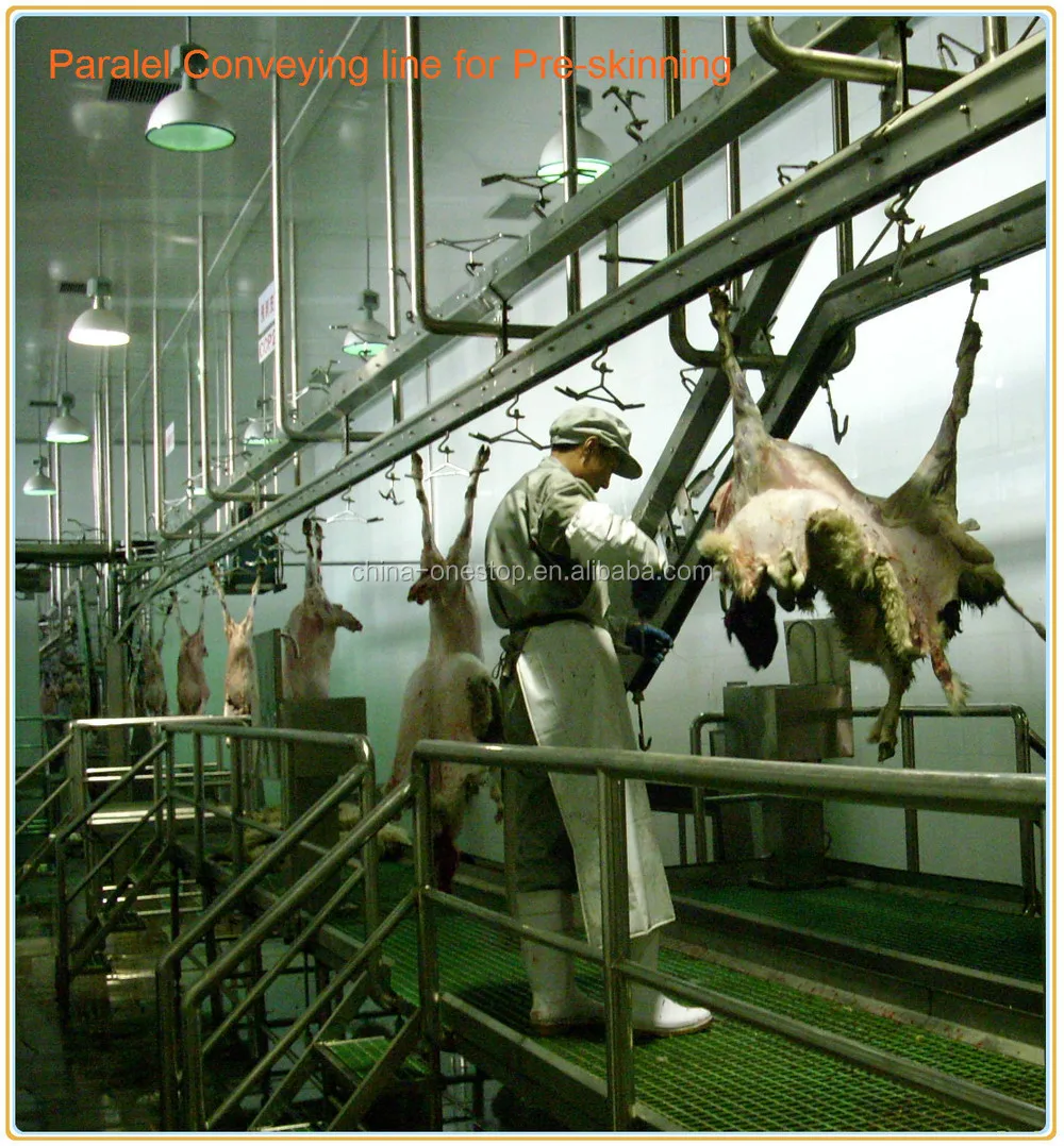 Modern sheep and goat slaughterhouses for large capacity slaughterhouse equipment