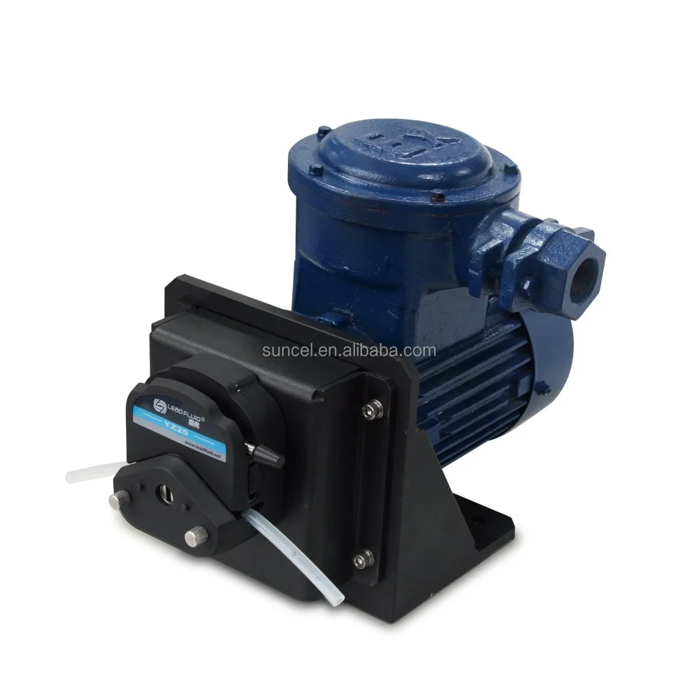 Explosion proof pumps