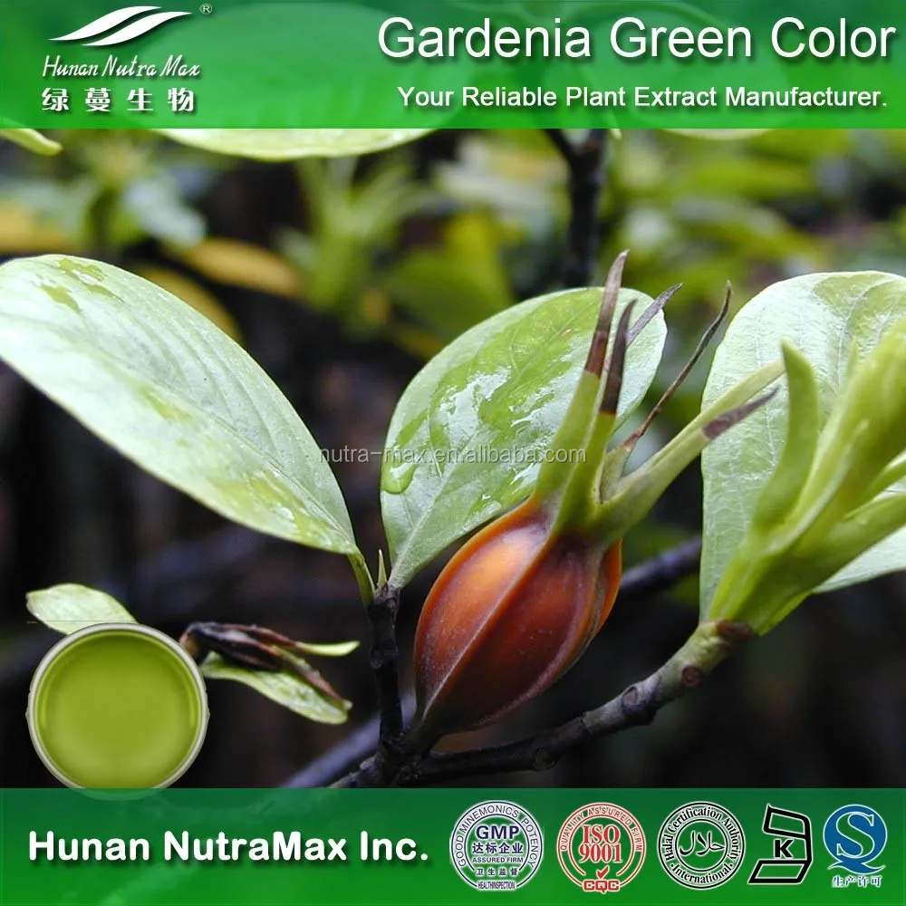 100% De Alimentos Naturales Gardenia Verde Color En Polvo De Pigmento - Buy Gardenia  Verde Product on 