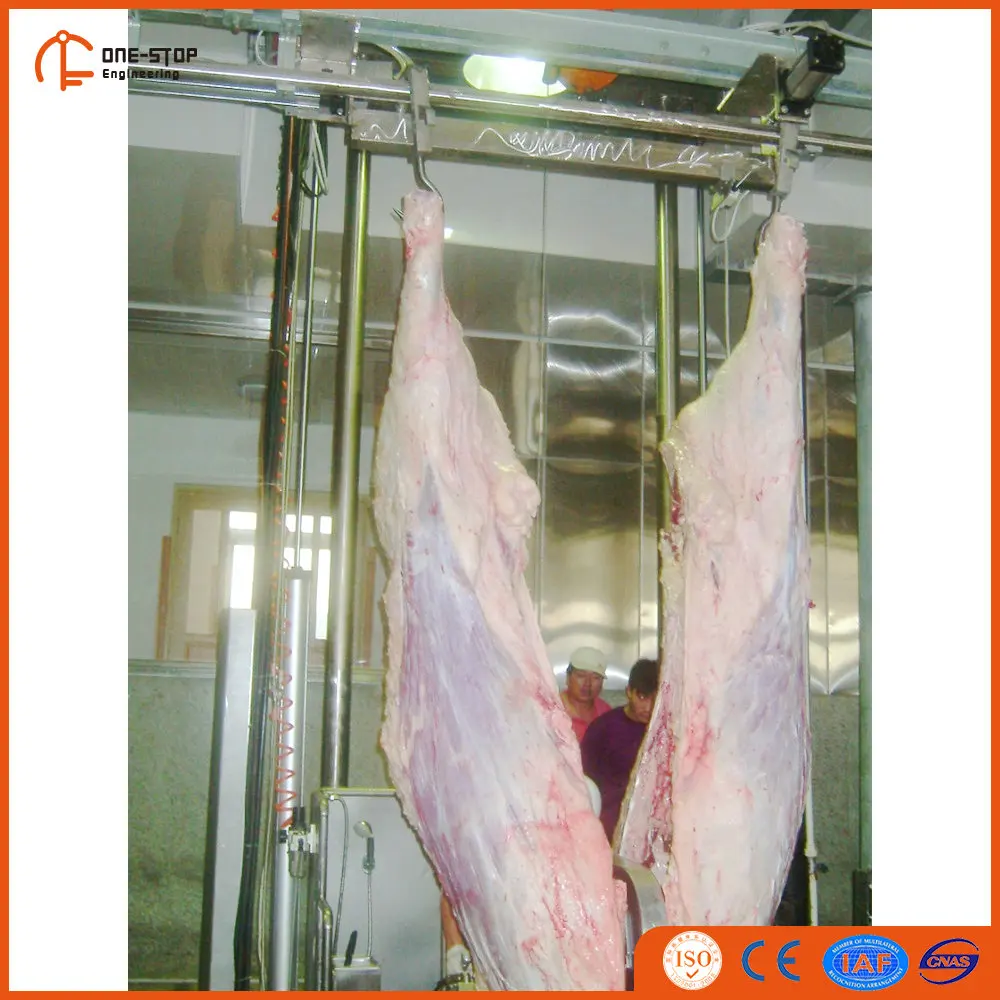 jarvis buster VI electronic meat band saw for pig slaughterhouse for sale