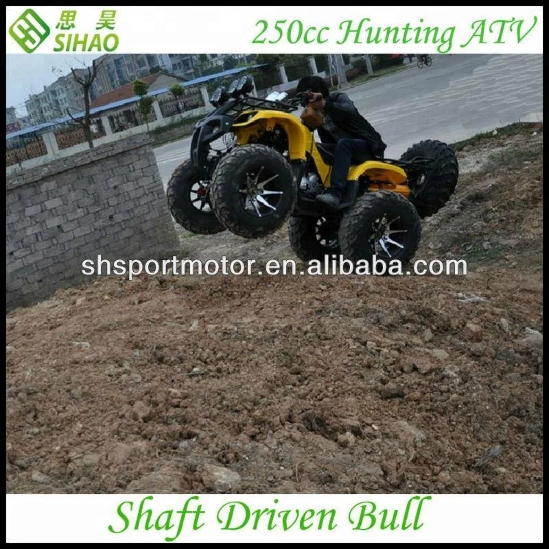 Мощные квадроциклы atv 250CC в ATV