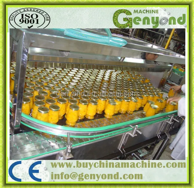 Fruit Canning Machines for Pineapple Mango