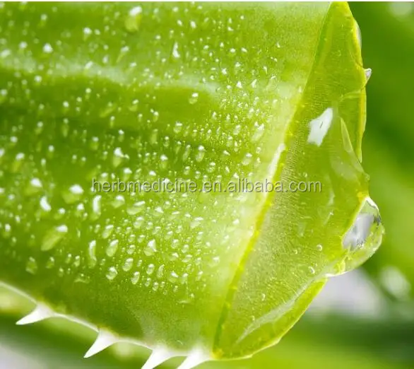 kissen aloe vera Aloe Vera Viscokissen