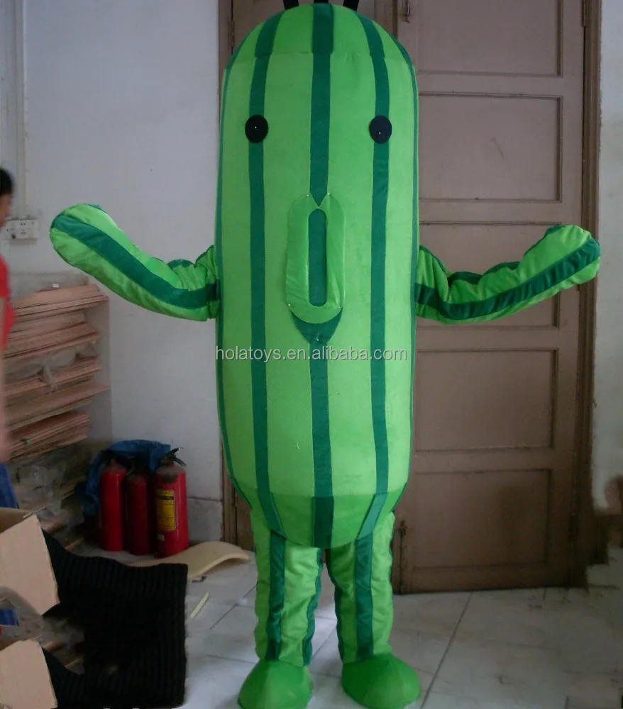 kaktus cereus Cactus, Cereus Peruvianus 10