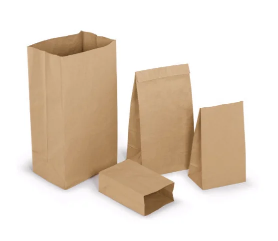 Buy GSSUSA 50 Pcs Brown Kraft Paper Bags 525x375x8 Small Paper Bags with  Handles for Shopping Gift Merchandise Retail Party Favor Wedding Gift  Bags Bags for Small Business Boutique Online at desertcartINDIA