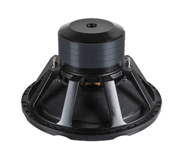 Jiaxing JLD Super Woofer Speaker with Huge Magnet Motor 5inch Coil 4000w Rms Powered 21/24/32inch Subwoofer for Sale