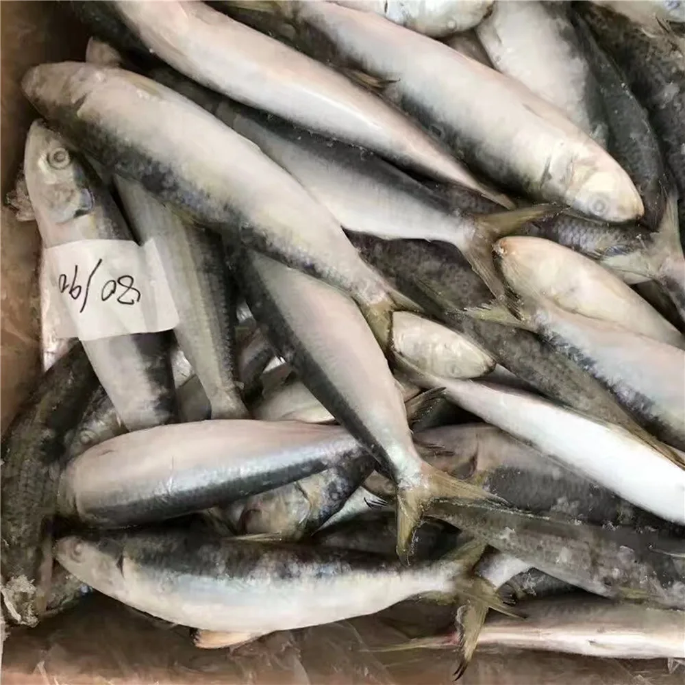 frozen bait for sale