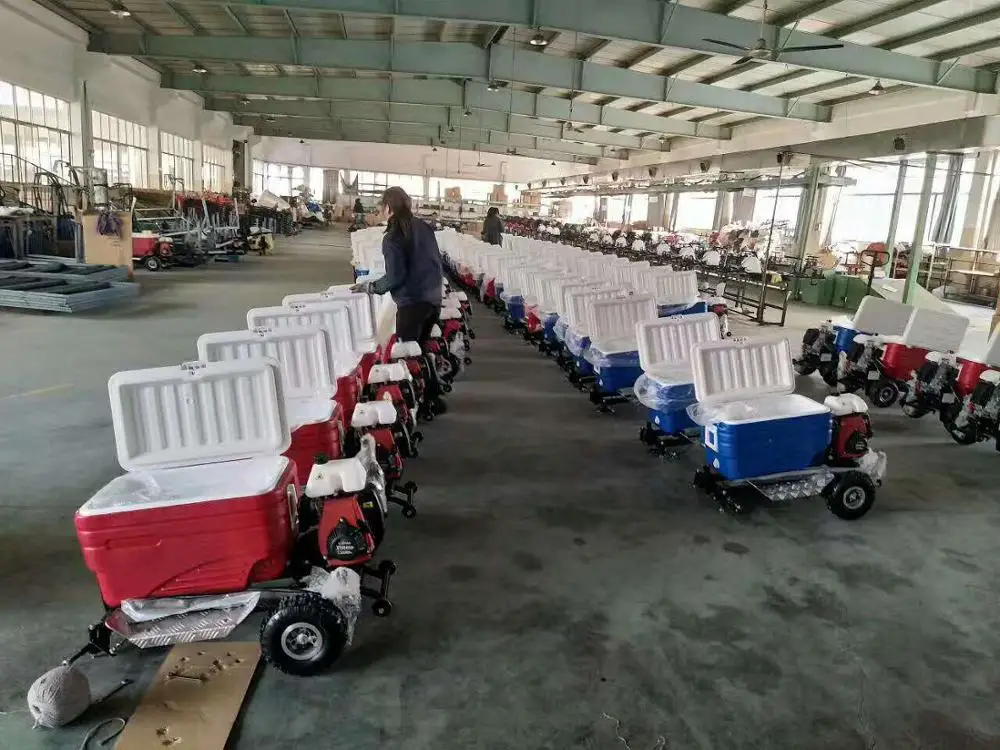 Professional Factory Outlet Gasoline Food Keeper Camping Using Motorized Cooler Scooter