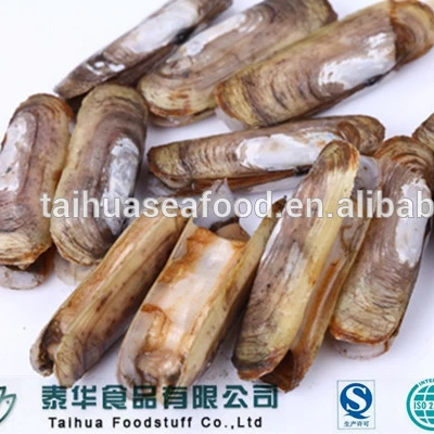 Palourdes Congelees Dans Les Coquillages Exportateurs De Fruits De Mer Congeles Buy Palourde Rasoir Palourde De Rasoir Congelee Dans Les Mollusques Palourde De Rasoir Dans Les Exportateurs De Fruits De Mer Congeles Product