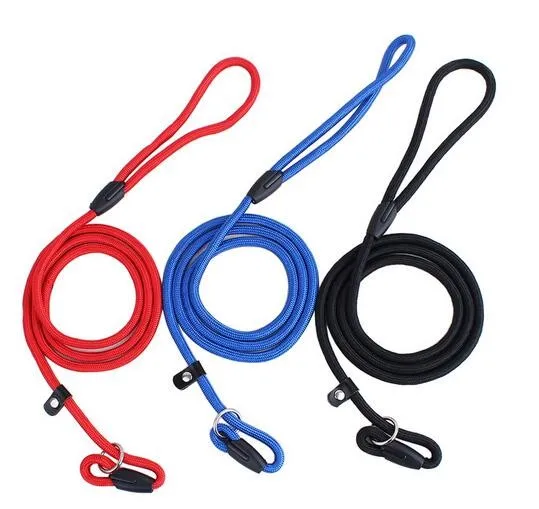 rope training lead