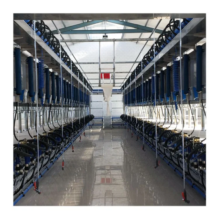 Big Farm Parallel Digital Meter Modern Cow Automatic Milking Parlor Machine Equipment