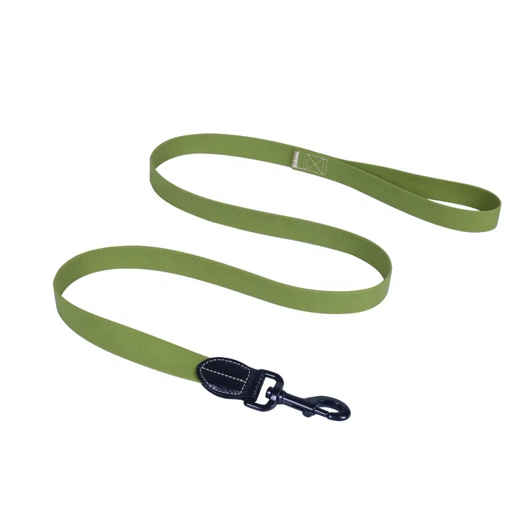 silicone leash dog