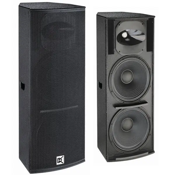 two 15 inch speakers