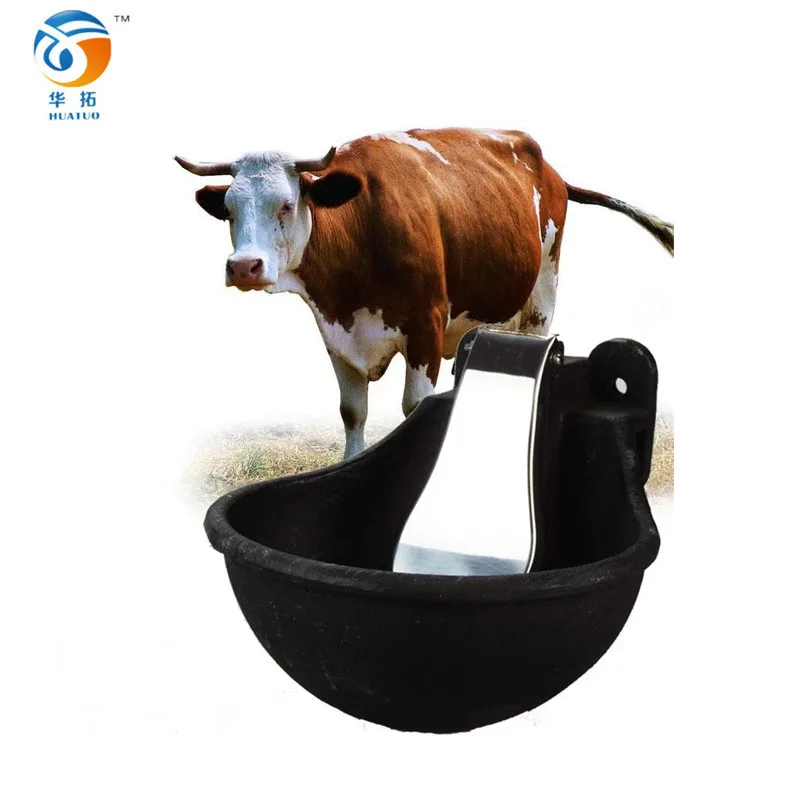 Water bowl outlet for cow