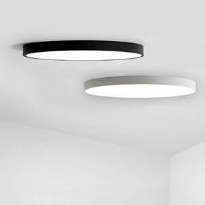Plastic Replacement Cover Ceiling Light