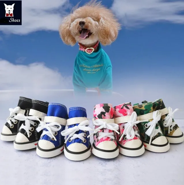 dog sneakers converse