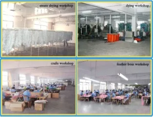 Cixi Horng Shya Feather Co., Ltd. 1