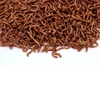Bloodworm liofilizzato