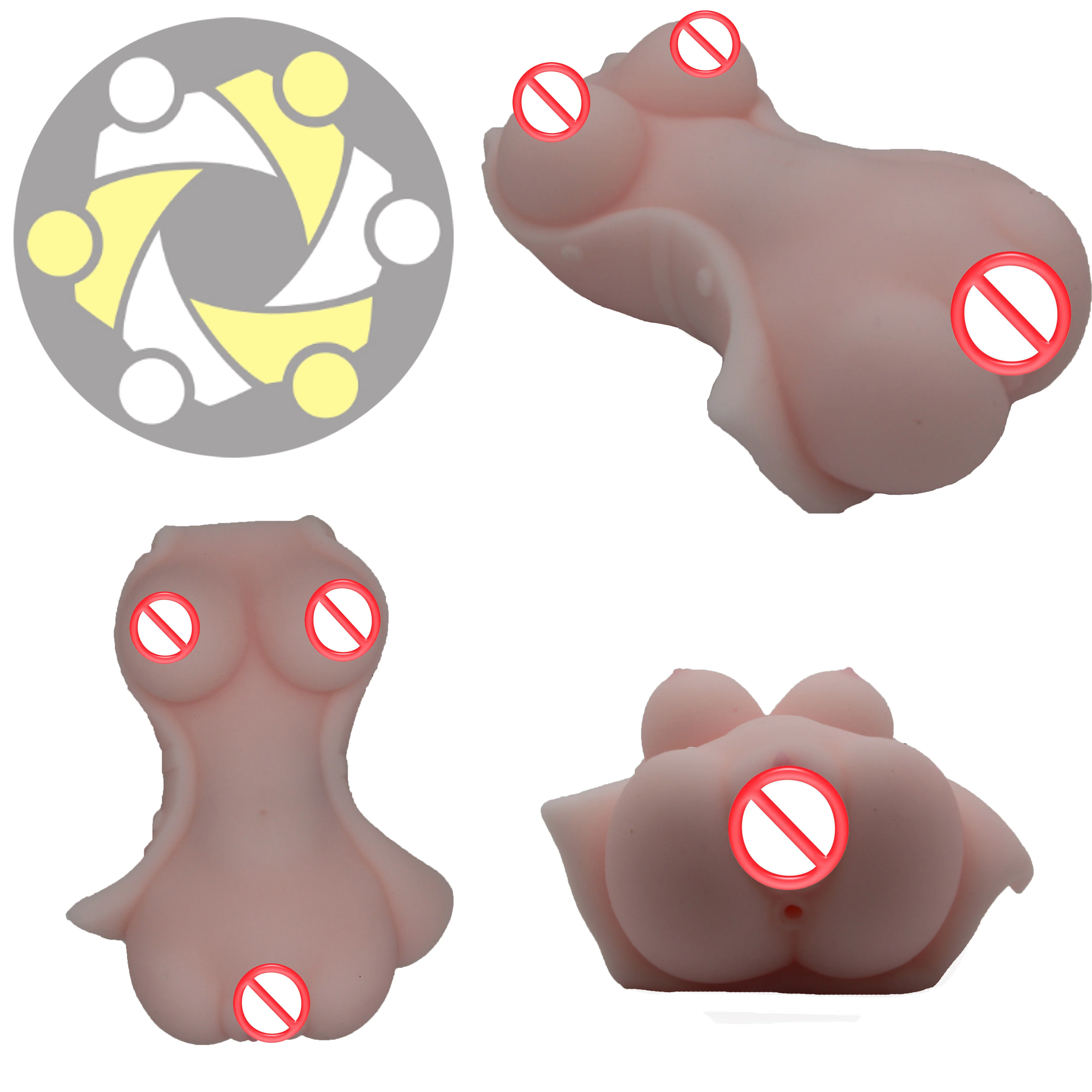 Женский системы матки Учебная модель женской