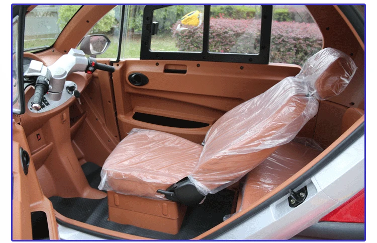 New Cheep Electric Closed 3 Wheel Car for Sale