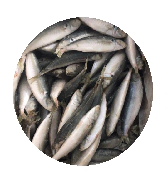 cheap price fish whole sales frozen horse mackerel fish round