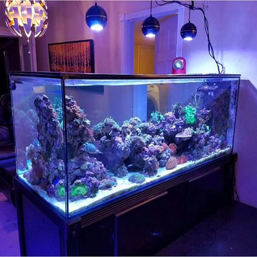 Wholesale Factory for LED aquarium light coral reef fish led for coral tank m.alibaba.com