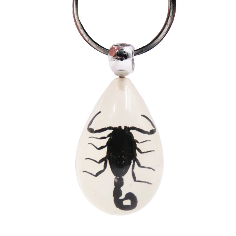 Luminous Scorpion Keychain Real Insect Amber Keyring Fluorescent Effect Metal Plastic Resin Acrylic Number Gifts Decorations