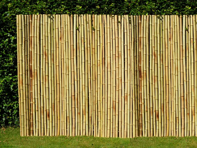 Cheap Bamboo Fence With Good Quality For Garden Buy Bamboo Fence,Reed