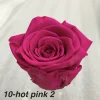 Hot Pink2