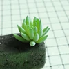 DR066 verde