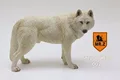 Animal Model Toys 1 6 Scale Prairie Wolf Kids Toys For 12 Action Figure Accessory Collections