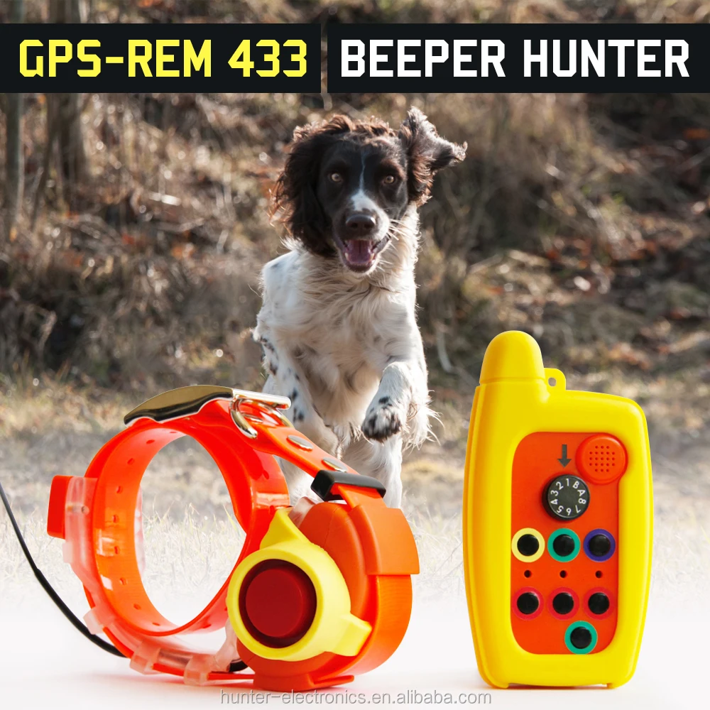 dog beeper