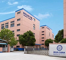 Shanghai Belin Electrical Appliance Co., Ltd.