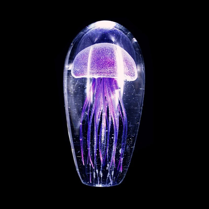 Медуза цена лайф. Стеклянная медуза. Медуза в стекле декор. Медуза в стекле. Медуза в колбе.