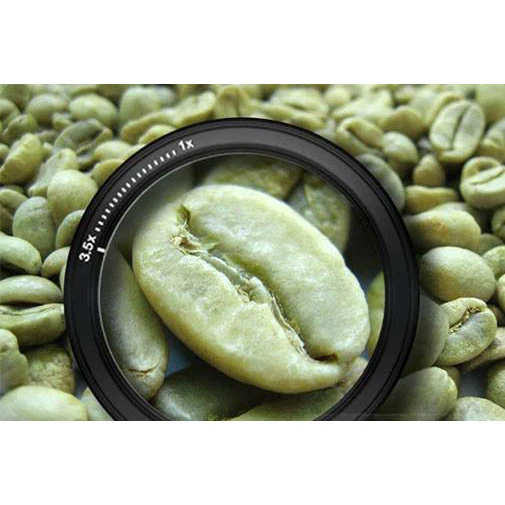 Brazilian green arabica coffee bean price of raw coffee