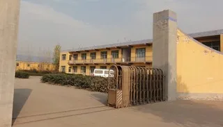 Hebei Caiyi Import & Export Trade Co., Ltd. 2