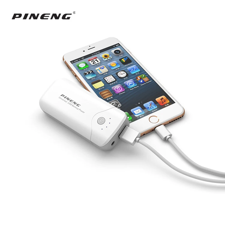 Universal Portable 5000mAh Power Bank with LED Flashlight - 2 in 1