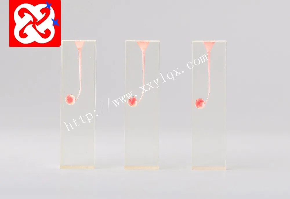 Root canal Endo Training Block Dental Medical