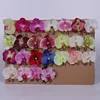 Carta di colore 2