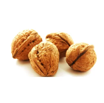 Free sample Walnut peel Extract Juglans Regia Extract walnut hull extract