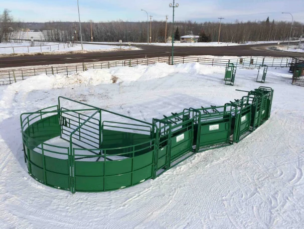 Rotary Separation Channel Crowding Tub Cattle Sweep System For Cattle ...