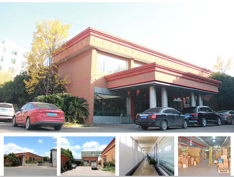 Jinhua Lvchuan Technology Co., Ltd.