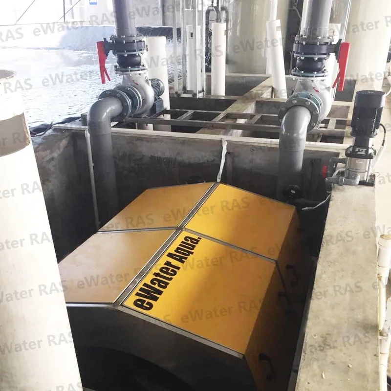 Circular Fish Farm with Tanks  for Commercial Fish Farm  Ras System Equipment Customize Indoor Ras Fish Farming