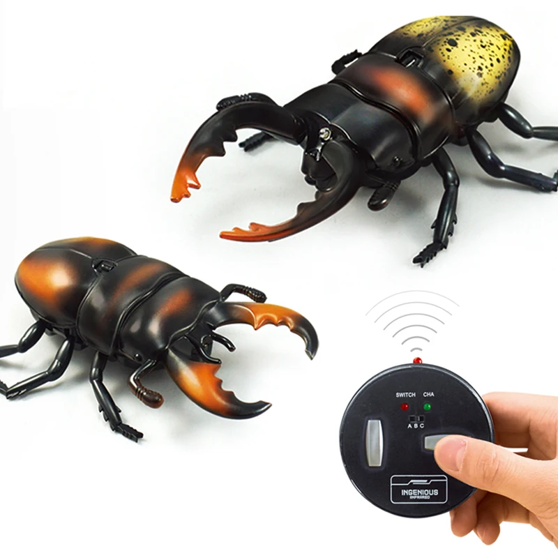 Rhino beetle hot sale toy