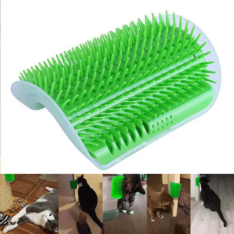 kitten grooming brush