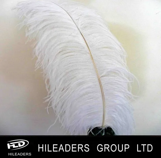 white ostrich feathers wholesale